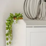 Boho Chic 2 Bedroom Gem 10 Min From Dowtown Free Parking