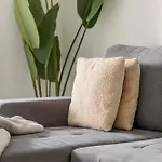 Apartamento Boho Chic 2 Bedroom Gem 10 Min From Dowtown Free Parking *