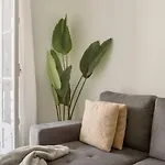 Boho Chic 2 Bedroom Gem 10 Min From Dowtown Free Parking * Amadora